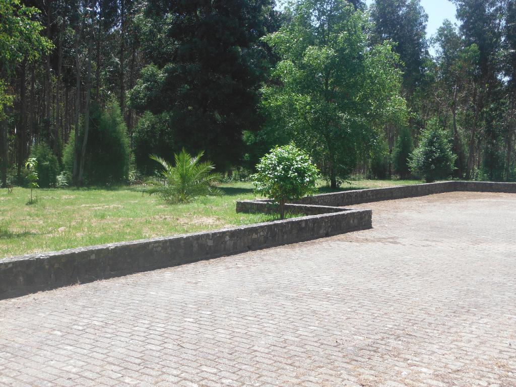 Hotel Alameda Албергария-а-Веля Екстериор снимка